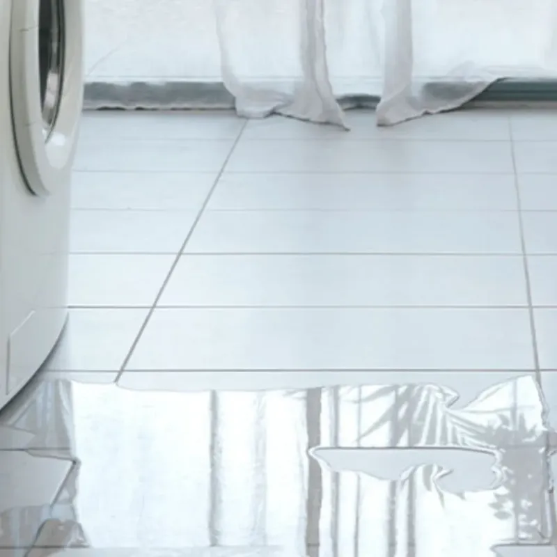 Appliance Leak Cleanup in Four Corners, MD