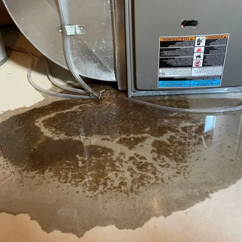 Pipe Burst and Leak Restoration in Four Corners, MD