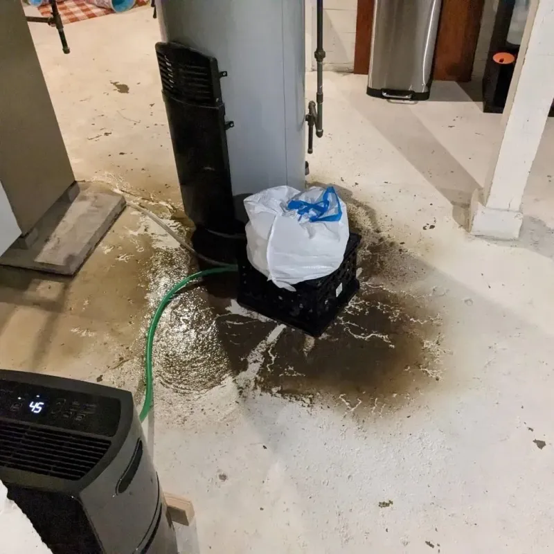 Sewage Backup Cleanup Service in Four Corners, MD